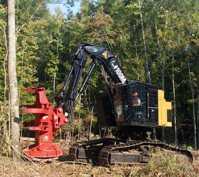 Feller buncher cortando árvores